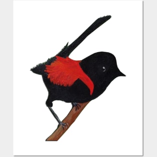 Red-backed Fairy-wren Posters and Art